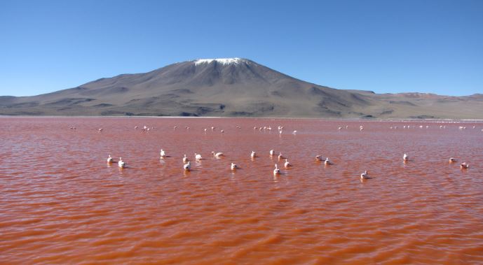 why is lake natron so deadly