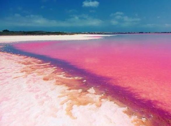 12 Stunning Pink Lakes in the World You Didn't Know Existed